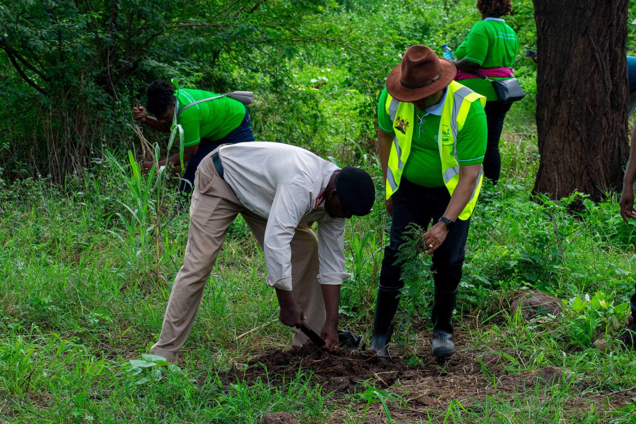 CETRAD Plants Over 4,000 Trees in Gambella Wetland