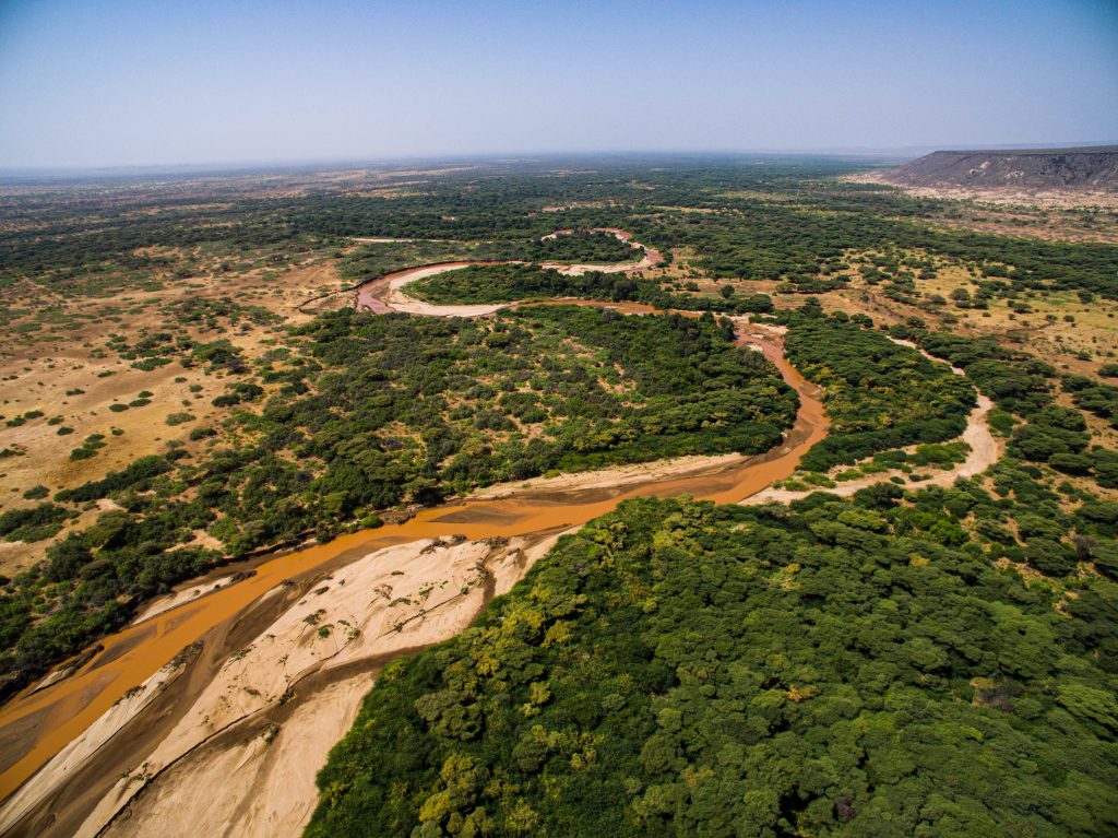 Unveiling Mathenge: Managing Prosopis Invasion in Isiolo