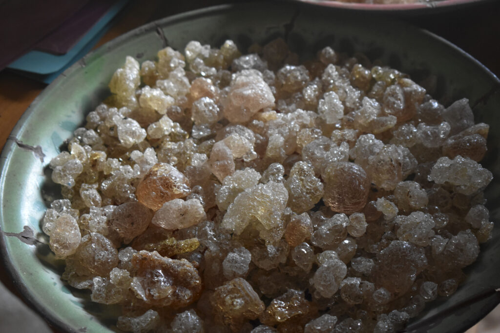 Gums & Resins - Turning Trees into Livelihoods