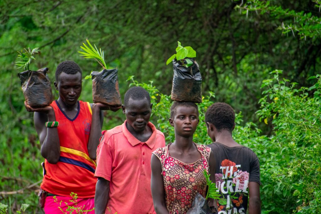 Roots and Water: The Gambella Wetland Revival