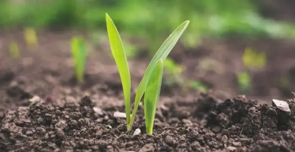 Water-Energy-Food Nexus - Ewaso Ng'iro